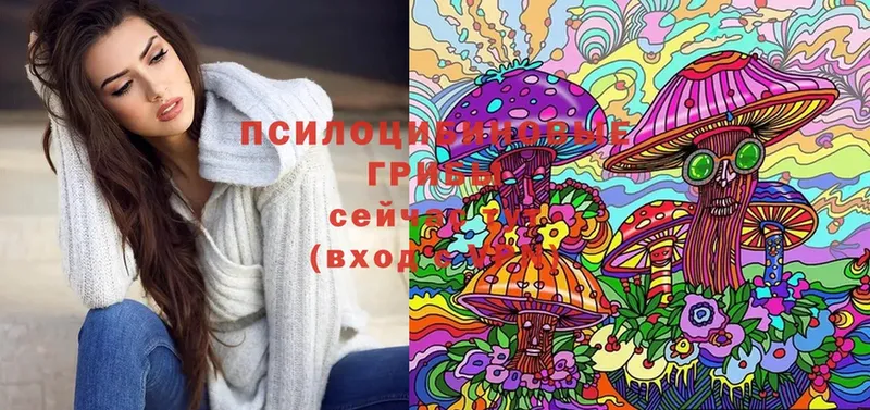 Псилоцибиновые грибы MAGIC MUSHROOMS  Задонск 